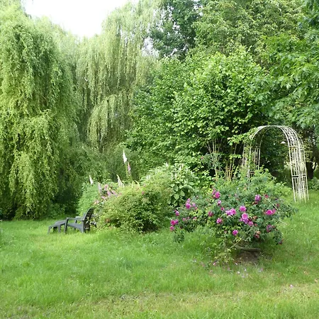 Maidenhain