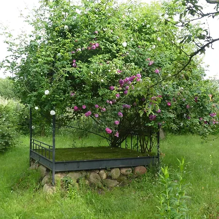 Maidenhain