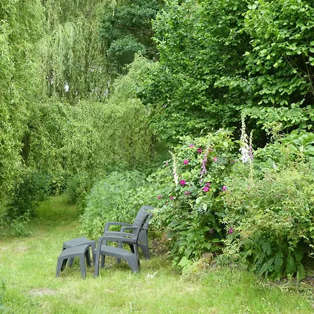 Maidenhain Hitzacker