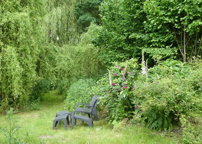 Maidenhain هيتسآكر